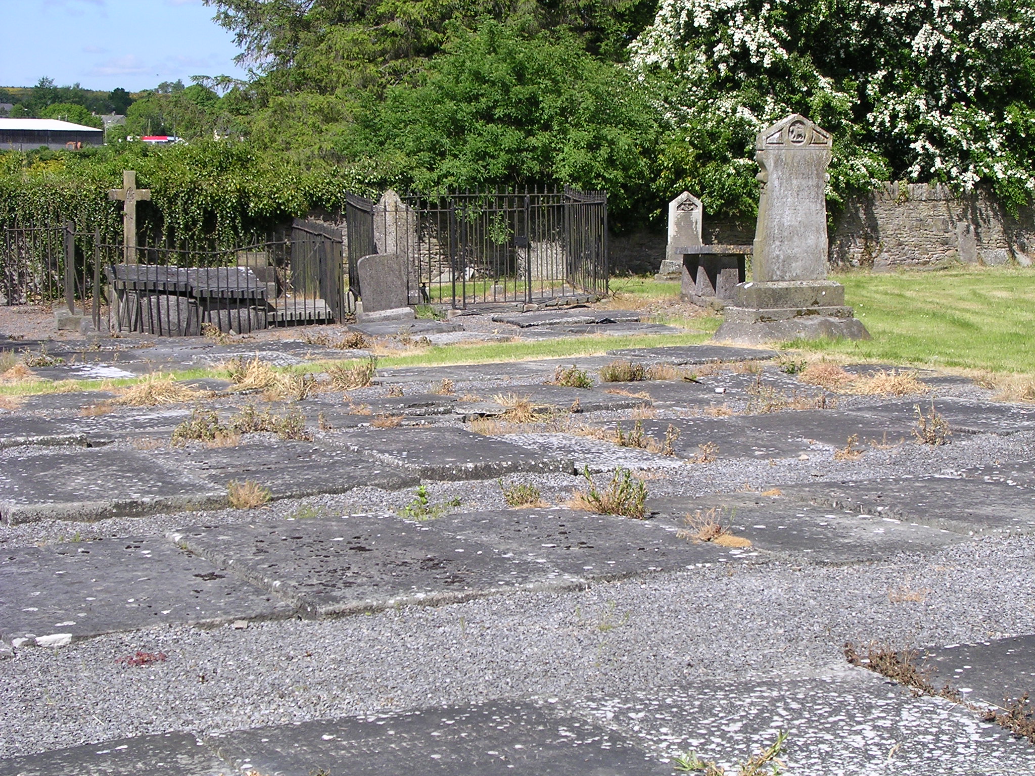 Gravestones Rosenallis Cemetery, Rosenallis, Co Laois, Ireland (focus on back headstones)