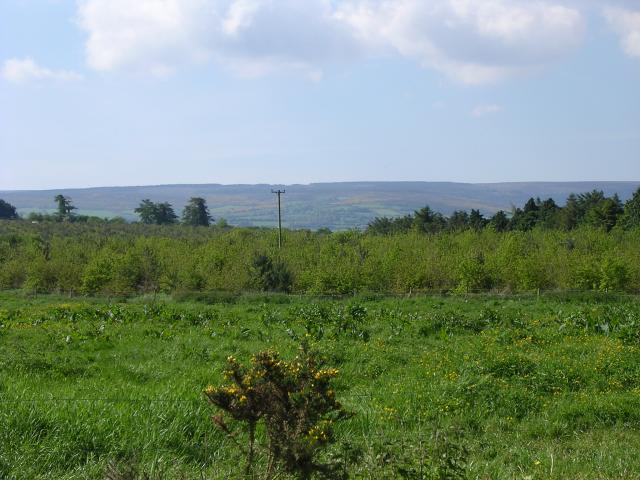 View near Rearymore House (#1)