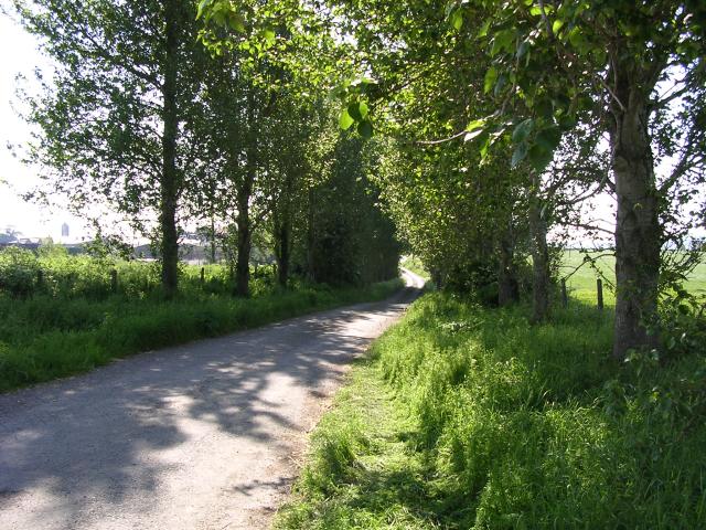 View of lane leading to highway near Rearymore House