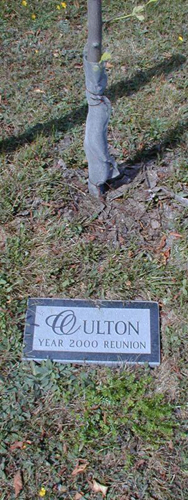 Oulton Reunion 2000 Tree Marker
